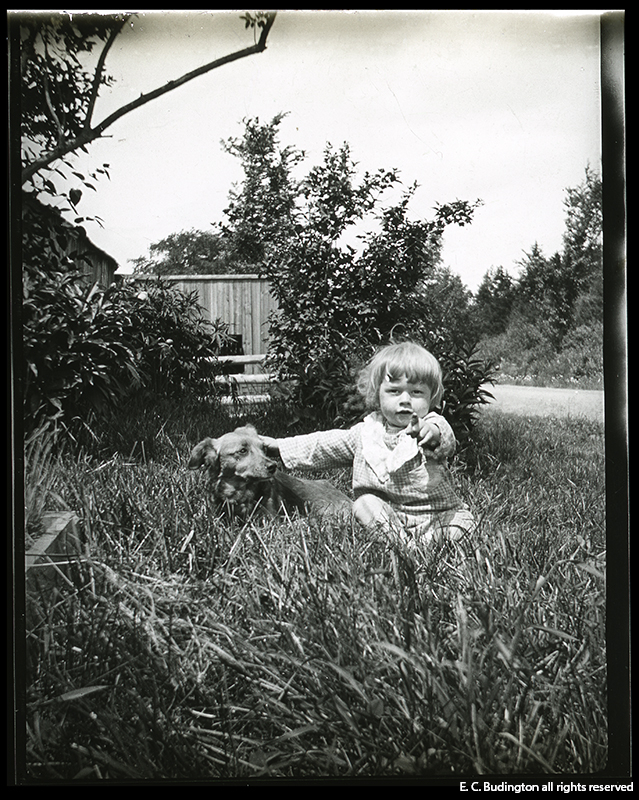 Child with Dog