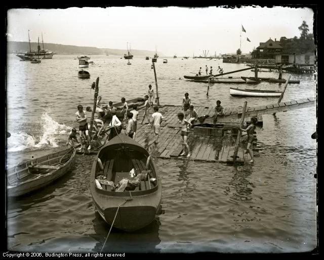 Harbor Swim Scene